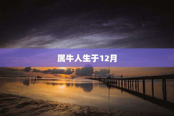 属牛人生于12月