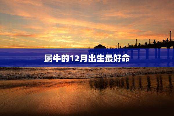 属牛的12月出生最好命