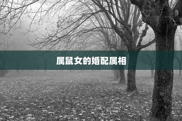属鼠女的婚配属相