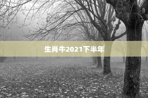 生肖牛2021下半年