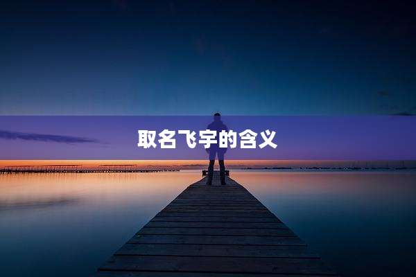 取名飞宇的含义