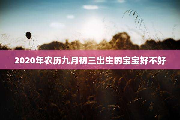 2020年农历九月初三出生的宝宝好不好