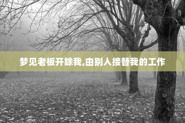 梦见老板开除我,由别人接替我的工作