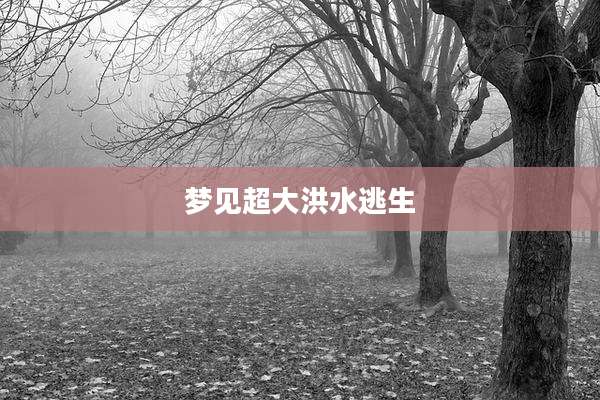 梦见超大洪水逃生