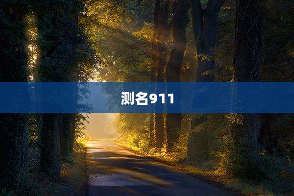 测名911