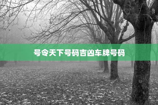 号令天下号码吉凶车牌号码