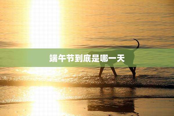端午节到底是哪一天
