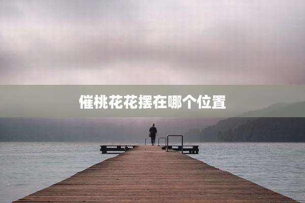 催桃花花摆在哪个位置