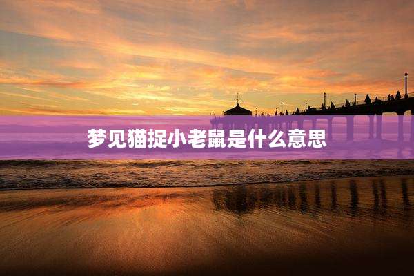 梦见猫捉小老鼠是什么意思