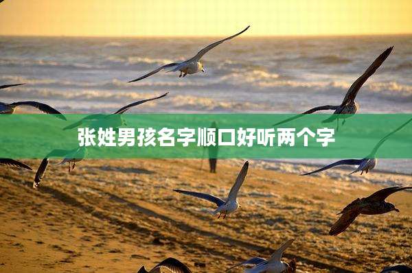 张姓男孩名字顺口好听两个字