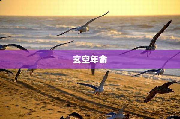 玄空年命