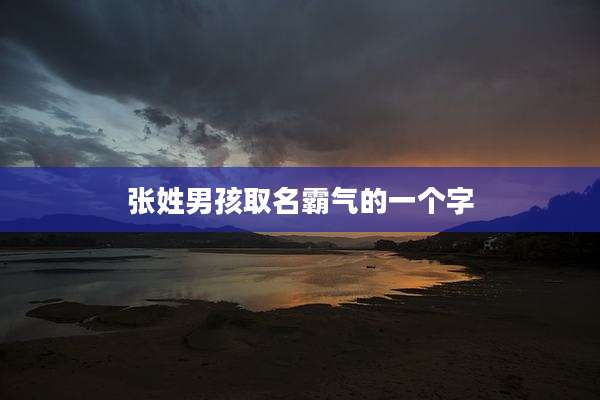 张姓男孩取名霸气的一个字