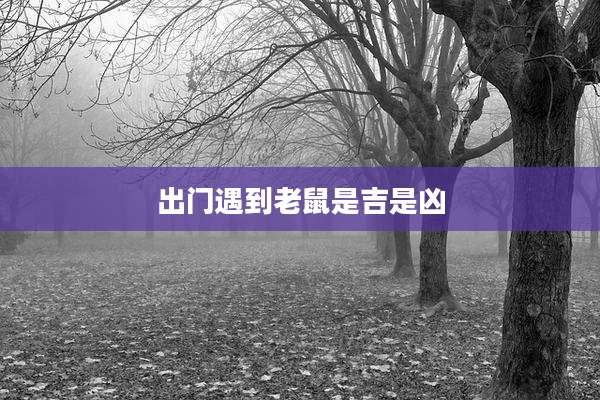 出门遇到老鼠是吉是凶