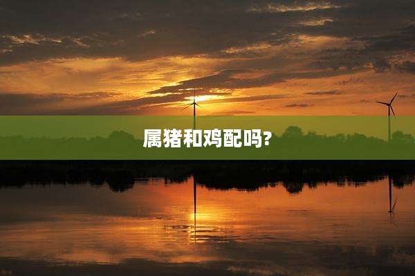 属猪和鸡配吗?