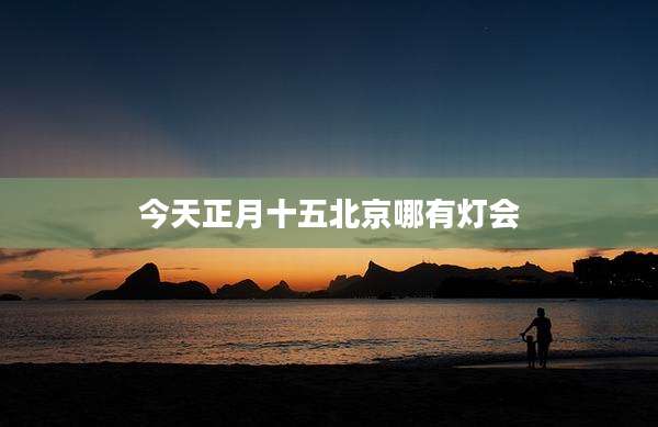 今天正月十五北京哪有灯会