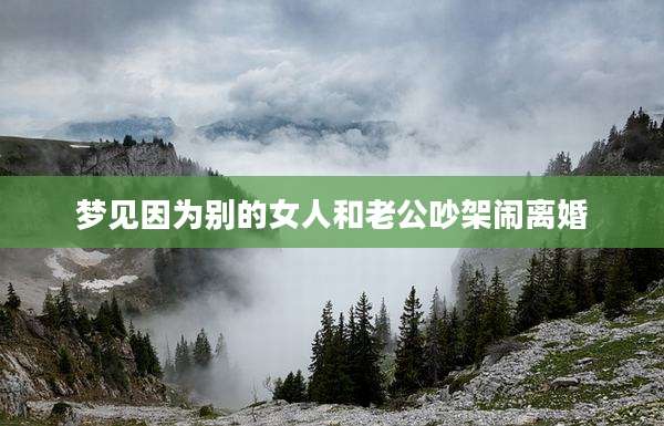 梦见因为别的女人和老公吵架闹离婚