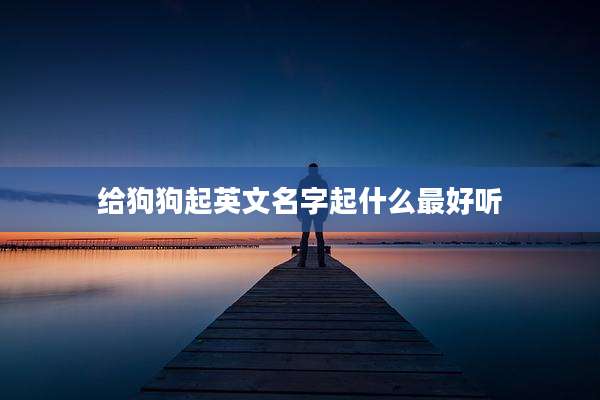 给狗狗起英文名字起什么最好听