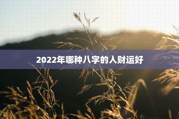 2022年哪种八字的人财运好