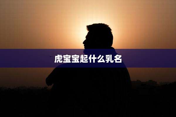 虎宝宝起什么乳名