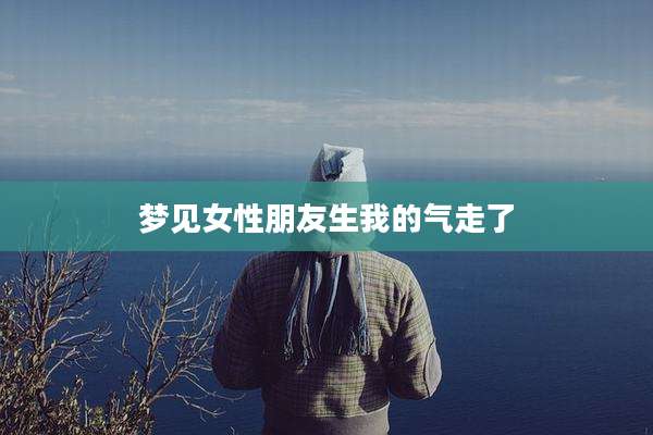 梦见女性朋友生我的气走了