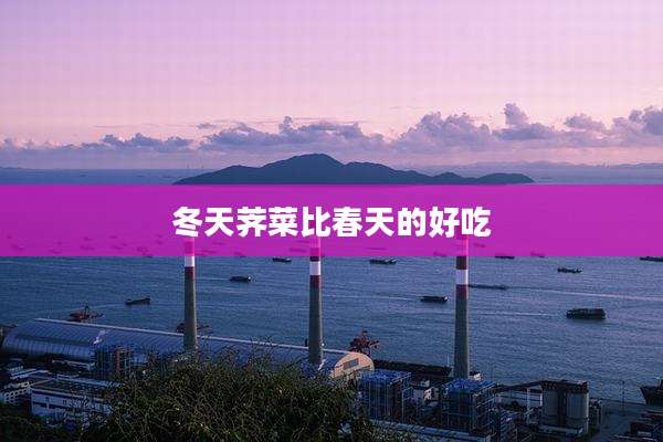 冬天荠菜比春天的好吃