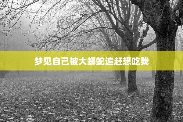 梦见自己被大蟒蛇追赶想吃我