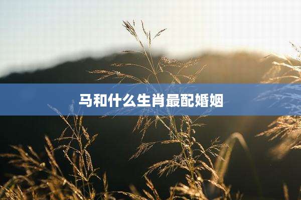马和什么生肖最配婚姻