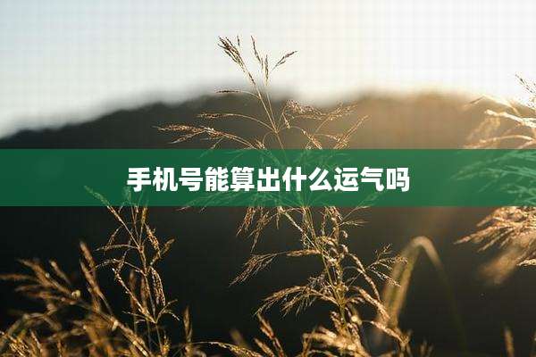 手机号能算出什么运气吗