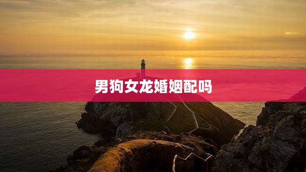 男狗女龙婚姻配吗