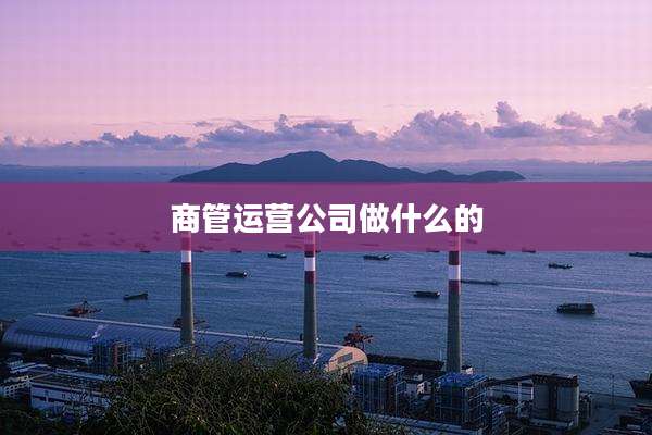 商管运营公司做什么的