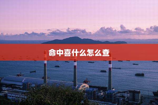 命中喜什么怎么查