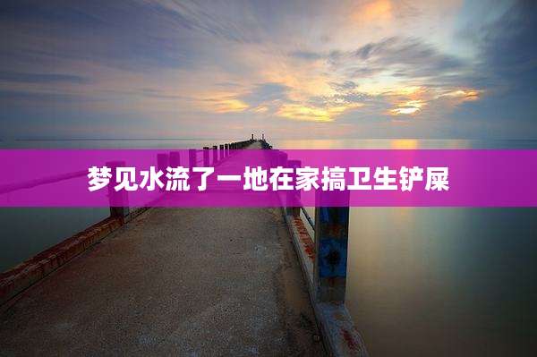 梦见水流了一地在家搞卫生铲屎