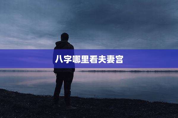 八字哪里看夫妻宫
