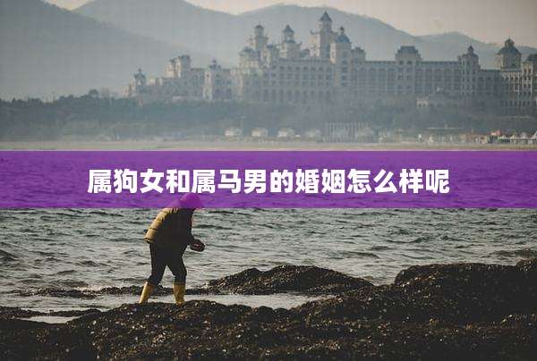 属狗女和属马男的婚姻怎么样呢