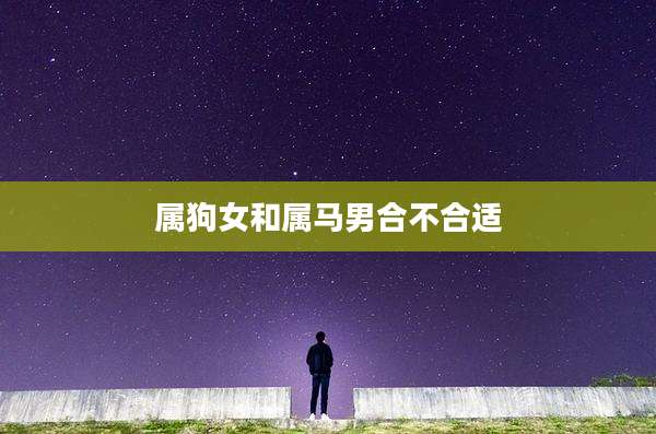 属狗女和属马男合不合适