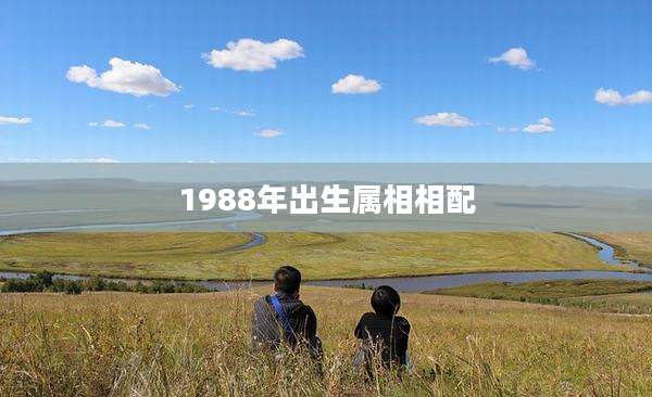 1988年出生属相相配