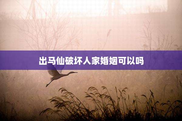 出马仙破坏人家婚姻可以吗