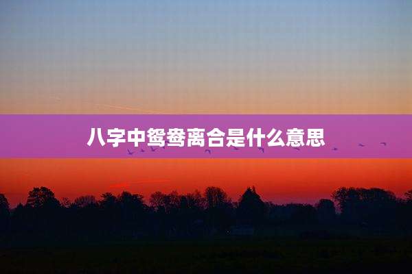 八字中鸳鸯离合是什么意思
