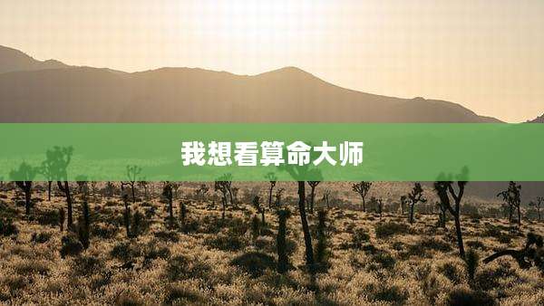 我想看算命大师