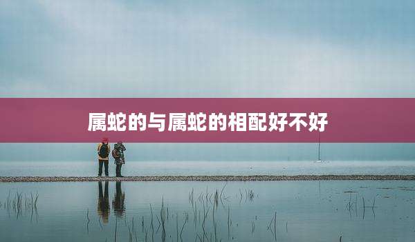 属蛇的与属蛇的相配好不好