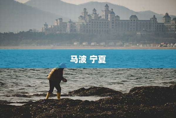 马波 宁夏