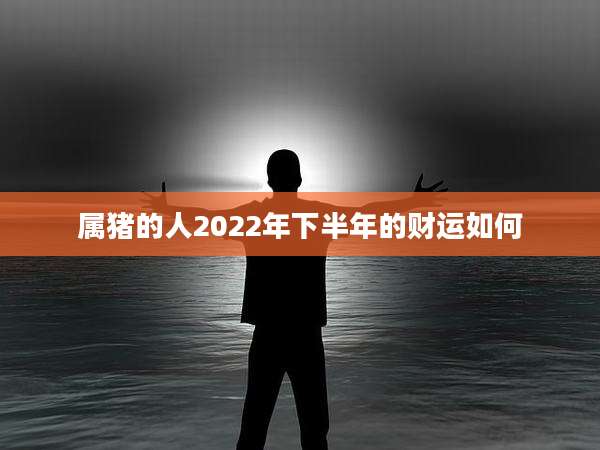 属猪的人2022年下半年的财运如何