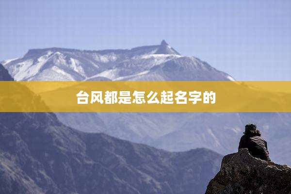 台风都是怎么起名字的
