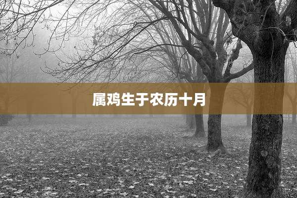属鸡生于农历十月