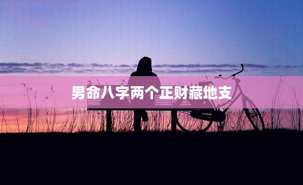 男命八字两个正财藏地支