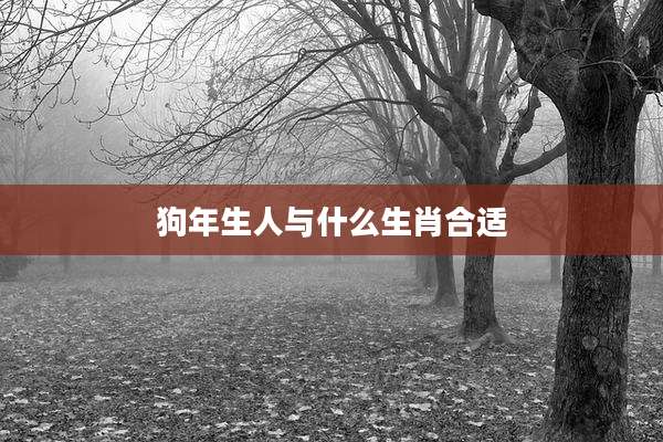 狗年生人与什么生肖合适