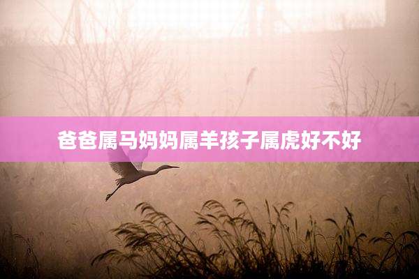 爸爸属马妈妈属羊孩子属虎好不好