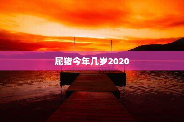 属猪今年几岁2020