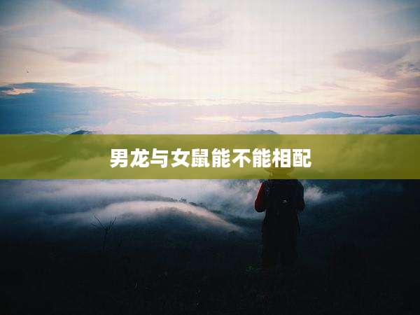 男龙与女鼠能不能相配
