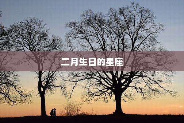 二月生日的星座